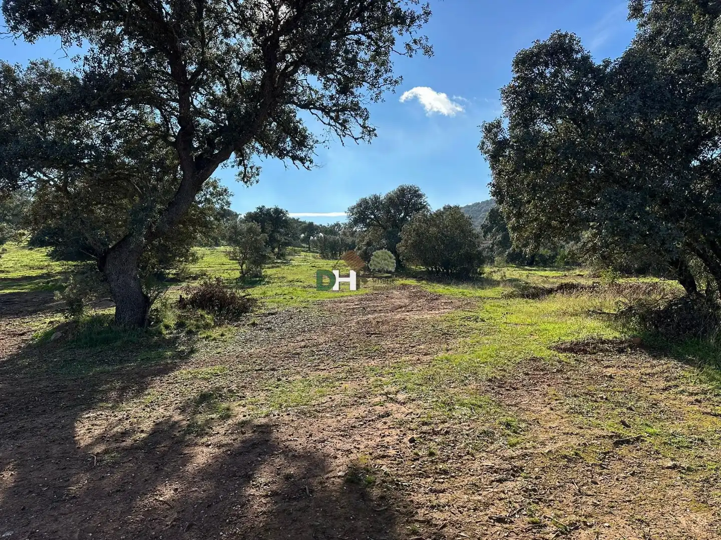 Terreni e lotti in vendita a Carretera de Sevilla - Los Montitos, imagen 7