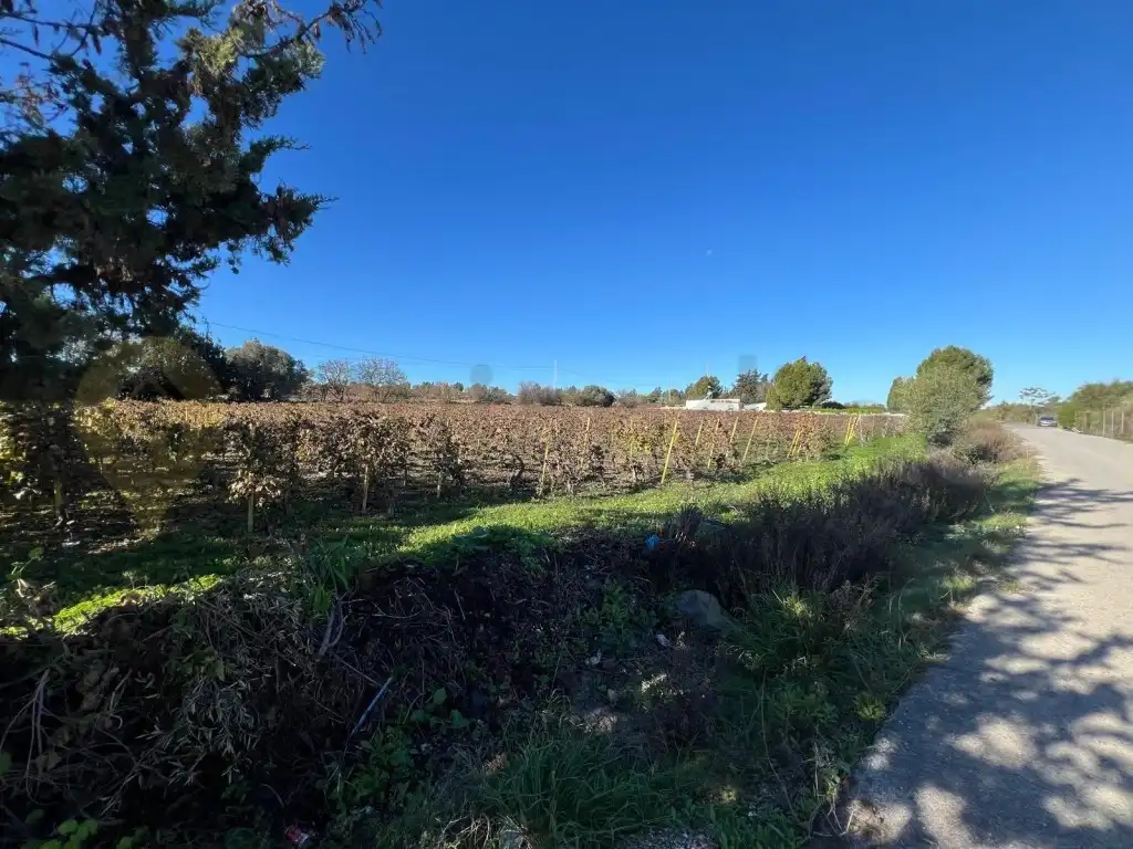 Finca rústica en venta en Jerez de la Frontera