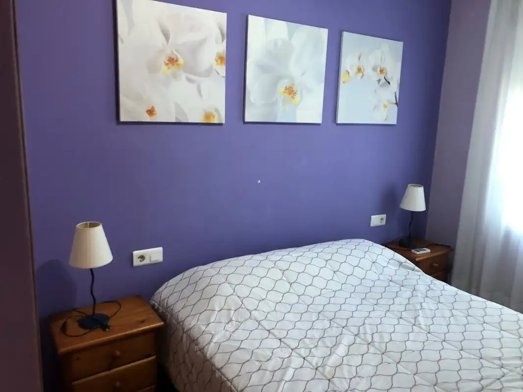Apartament amb ascensor de lloguer a Carrer Camp de Morvedre, imagen 22