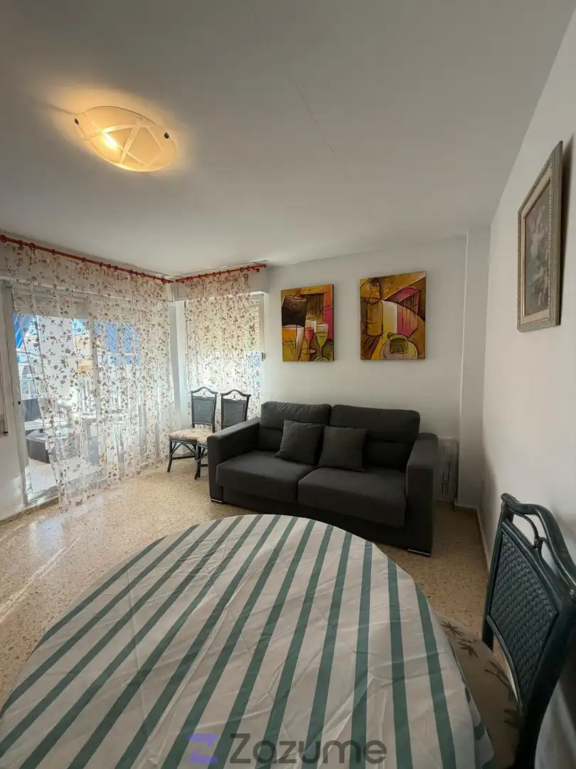Living room of Flat for rent in Piles  with Air Conditioner, Heating and Furnished
