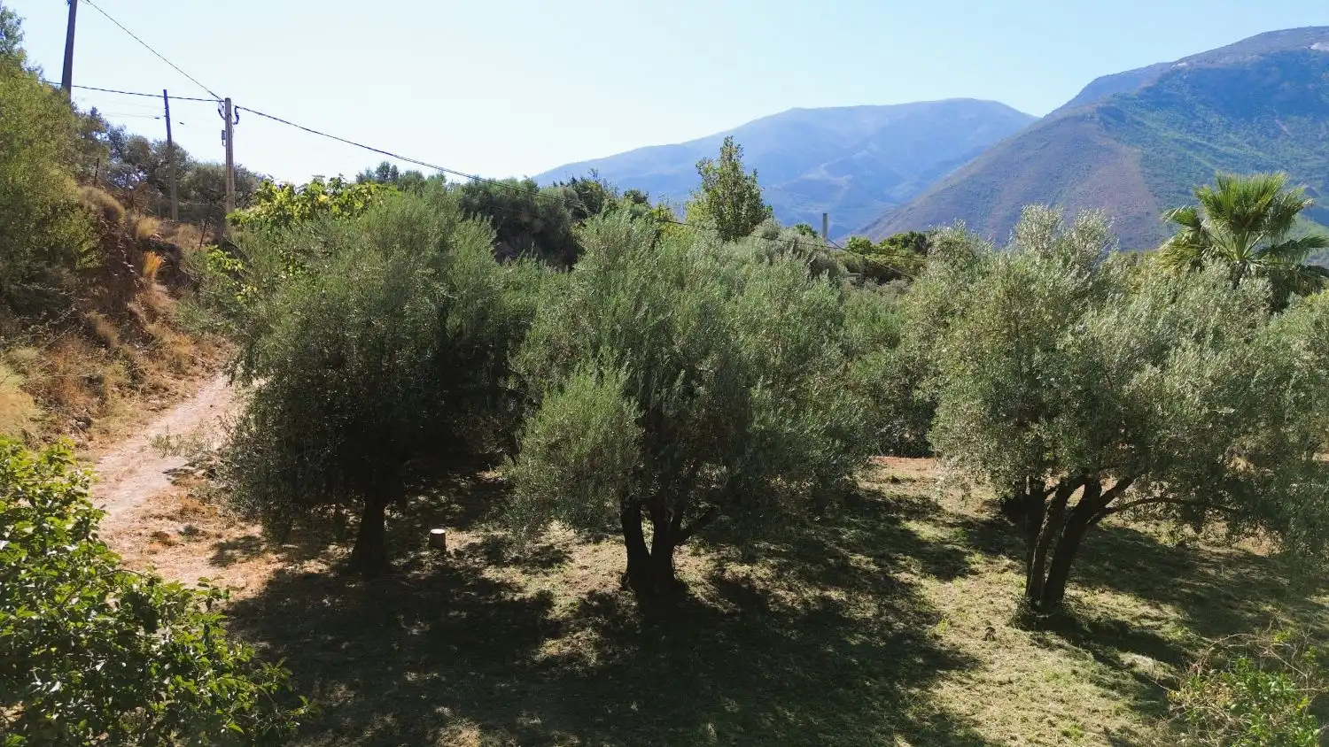 Houses for sale in Órgiva, Granada