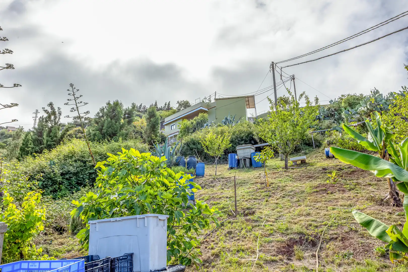 Houses for sale in Santa María de Guía de Gran Canaria  with Private garden, Terrace and Storage room