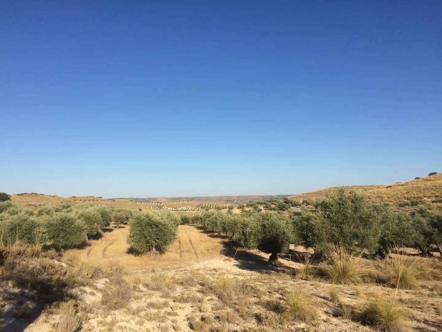Rural land for sale in M-315 4b, imagen 4