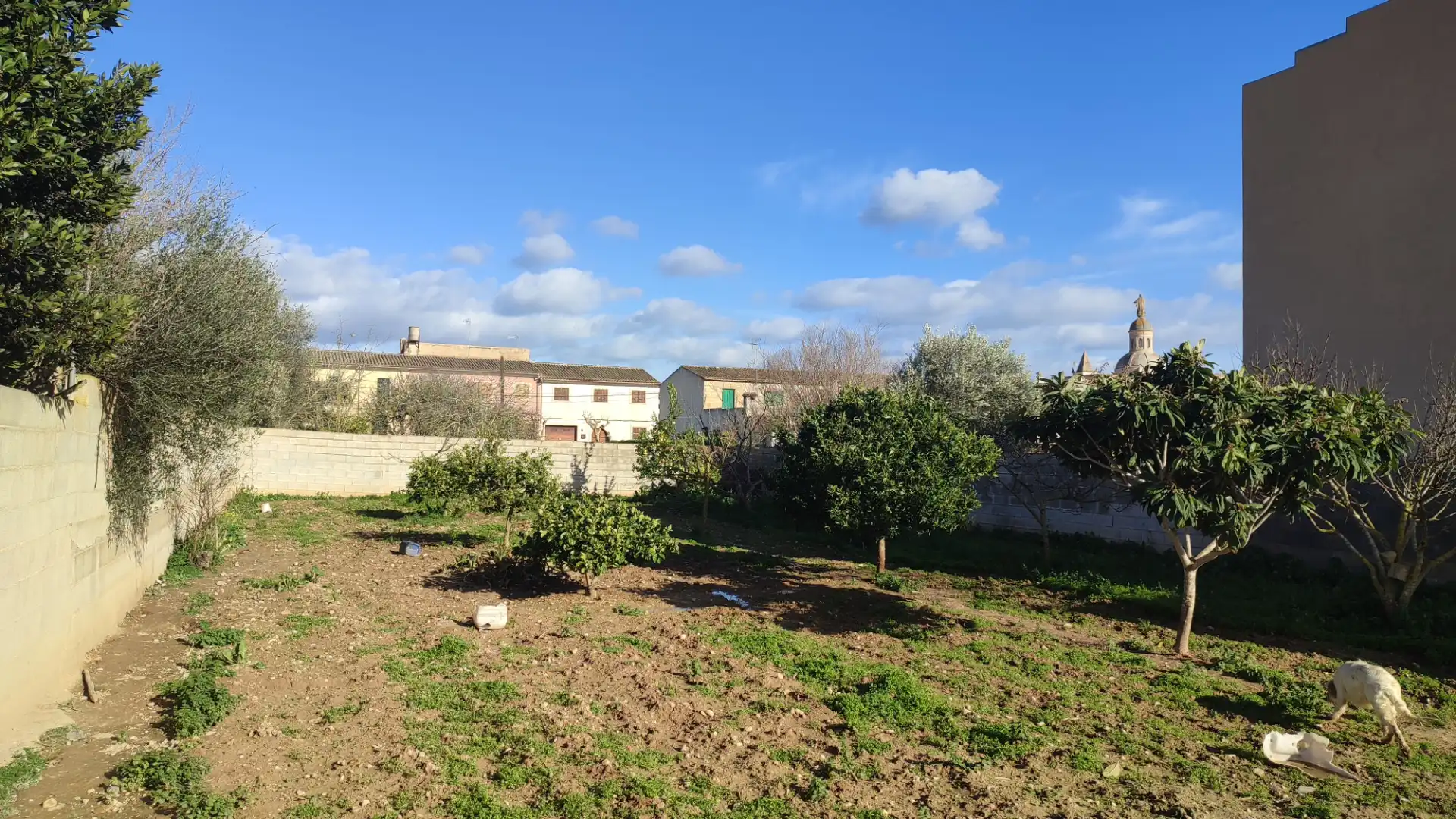 Wohnbaugrundstück zum Verkauf in Carrer de l'Ermità Agustí 7, imagen 8
