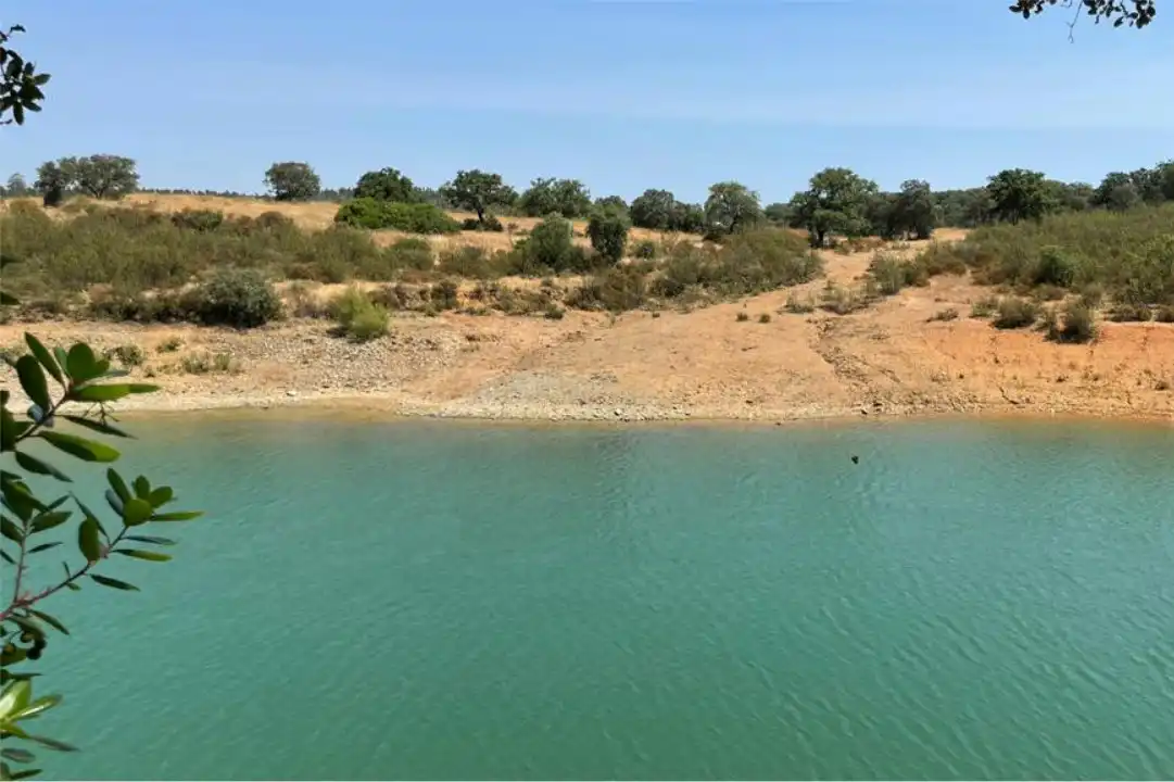 Terreno en venta en La Calzada - La Florida