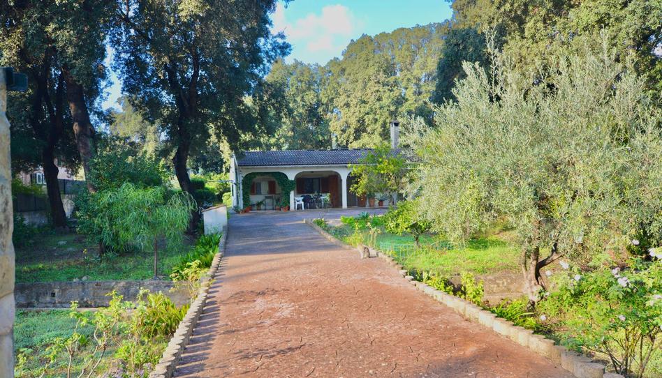 Photo 1 of Country house for sale in Sa Pobla, Illes Balears