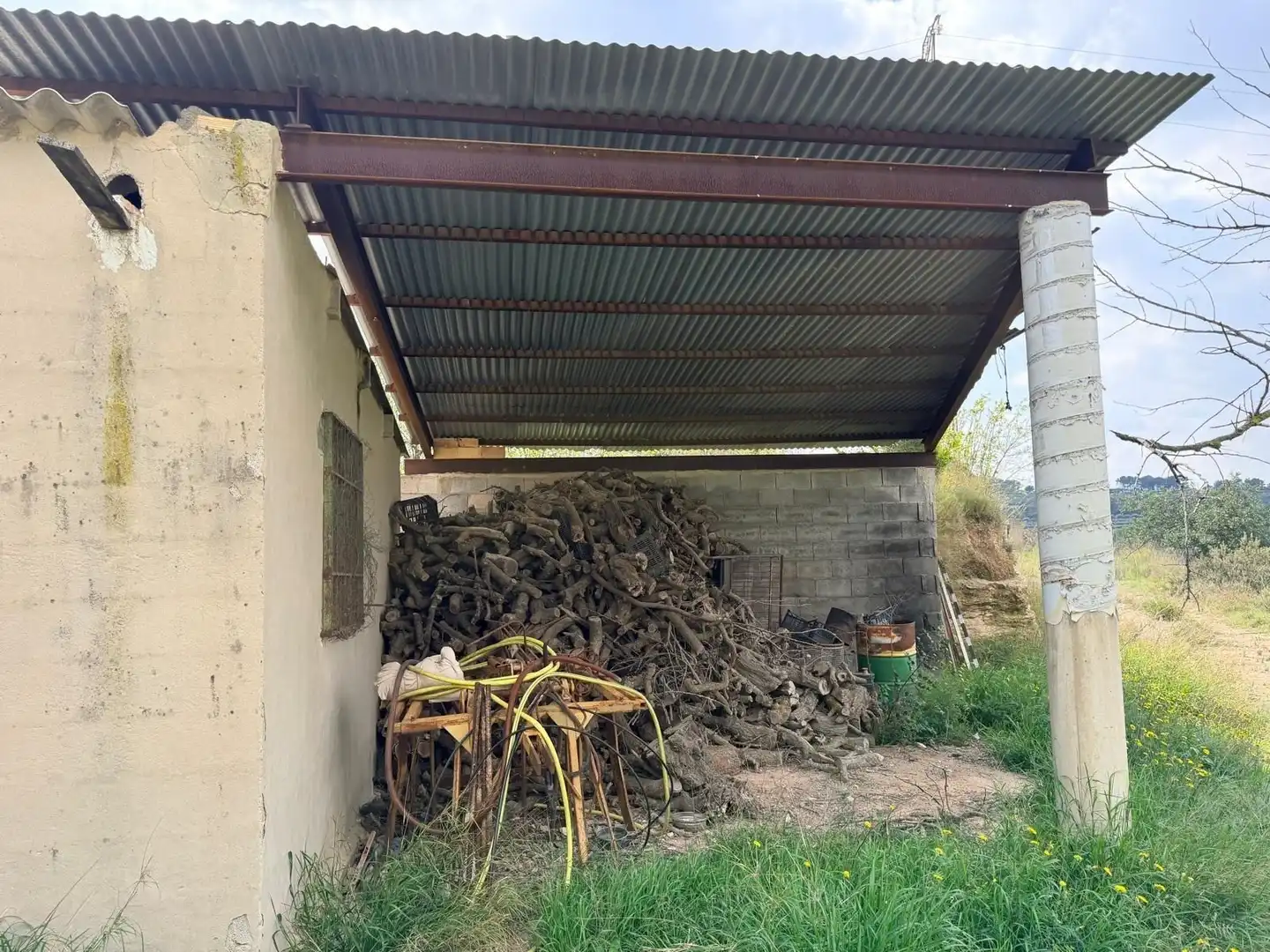 Terreny rústic en venda a Albaida, imagen 3