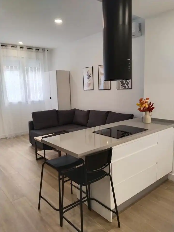 Sala d'estar de Pis de lloguer en Barrio de Salamanca