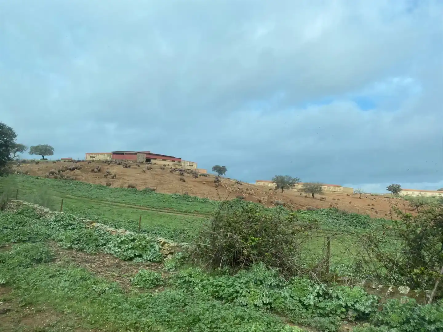 Land for sale in Medina de las Torres