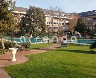 Swimming pool of Flat to rent in Majadahonda  with Air Conditioner, Heating and Terrace