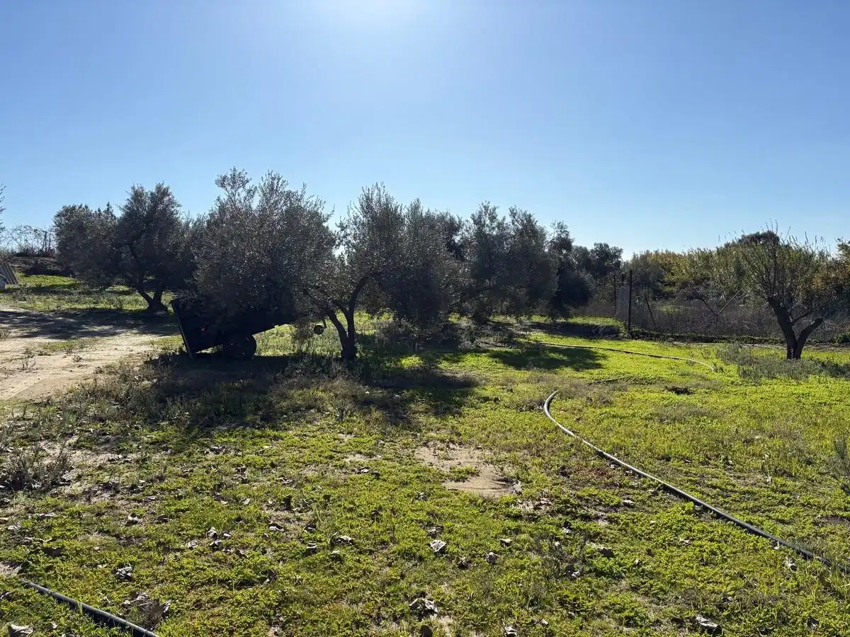 Terreni e lotti in vendita a Bollullos Par del Condado, imagen 12