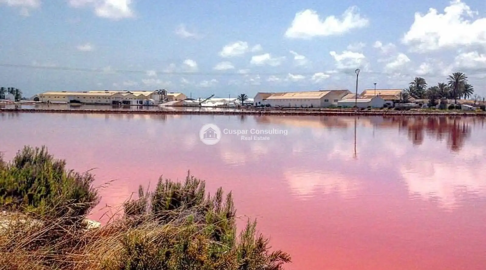 Attique avec piscine à vendre à Lo Pagán, imagen 10