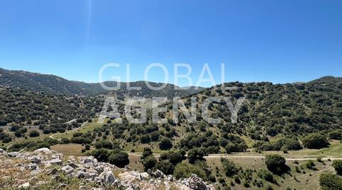 Photo 2 of Land for sale in Belén - San Roque,  Jaén Capital