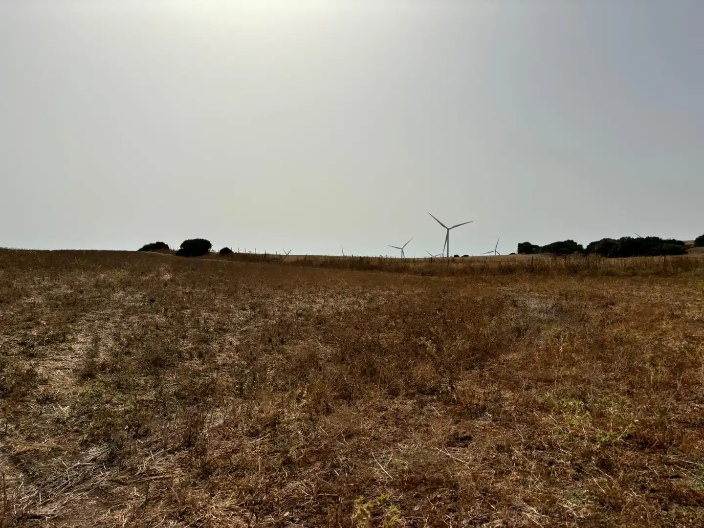 Terreni e lotti in vendita a Lugar el Berrueco, imagen 23