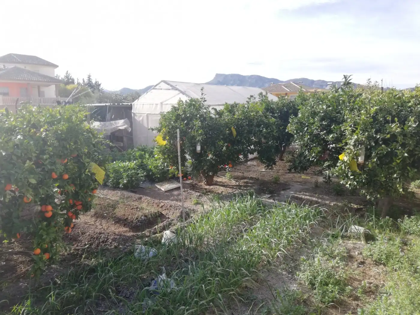 Xalet amb jardí en venda a Pedanías Centro, imagen 14