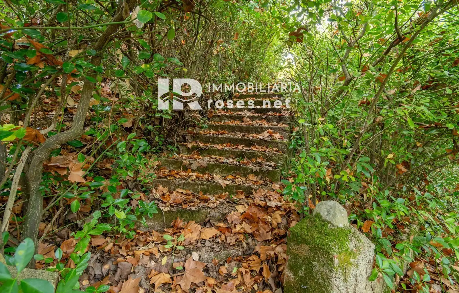 Maison avec jardin à vendre à DE LA RESCLOSA, imagen 55