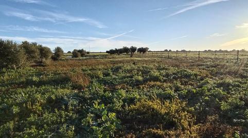 Photo 5 of Residential for sale in  Villanueva, Villanueva Golf, Puerto Real