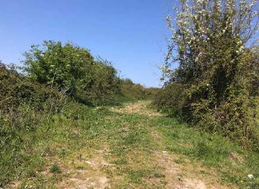 Foto 4 de Residencial en venda a Del Cotaron. Polígono 103 Parcela, Bernueces, Asturias