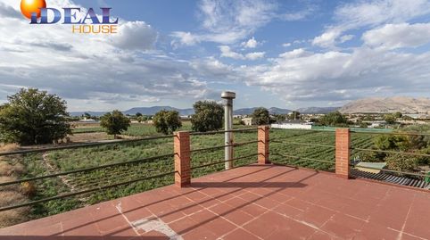 CORTIJO CON CASA DE 117 m2 Y TERRENO DE 2.312 m2 EN SANTA FE, imatge 2