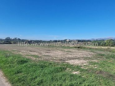 Terrenys i solars en venda a Muro