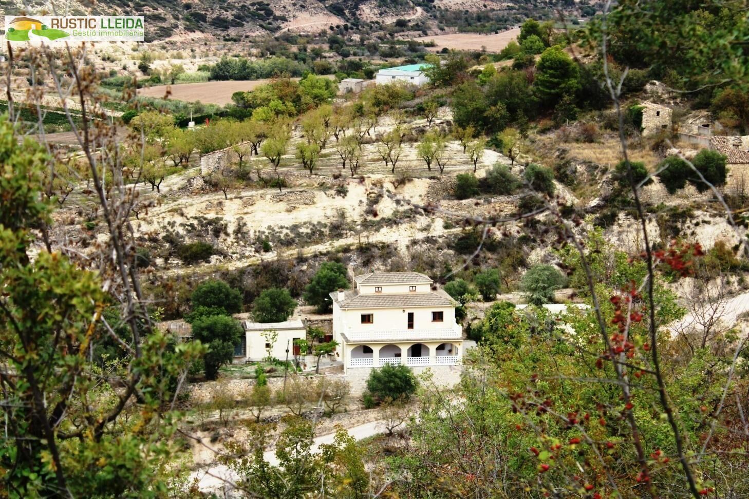 Vista exterior de Casa o xalet en venda en Guimerà amb Calefacció, Jardí privat i Terrassa