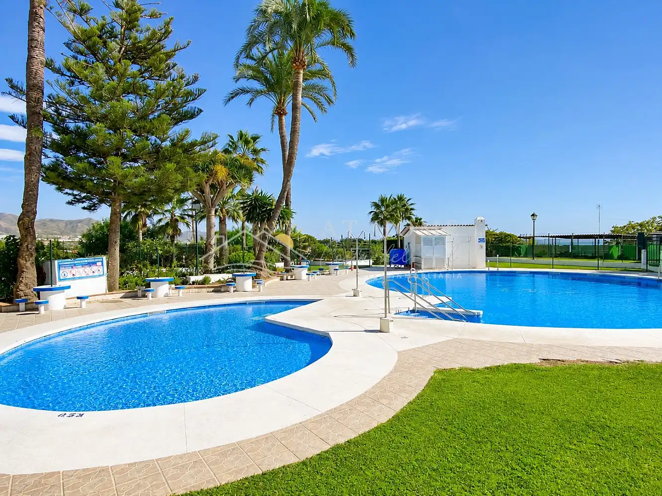 Swimming pool of Apartments for rent in Nerja  with Terrace, Swimming Pool and Oven