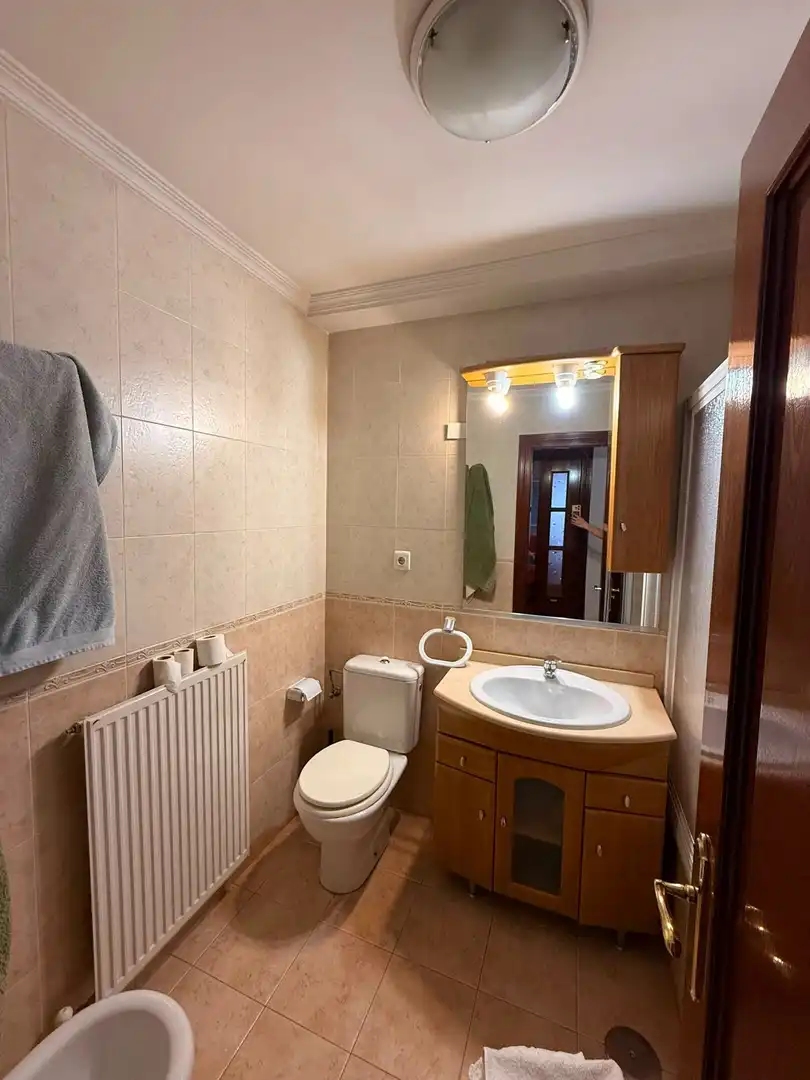 Piso con piscina en venta en AGUSTÍN RODRIGUEZ SAHAGÚN 30, imagen 10