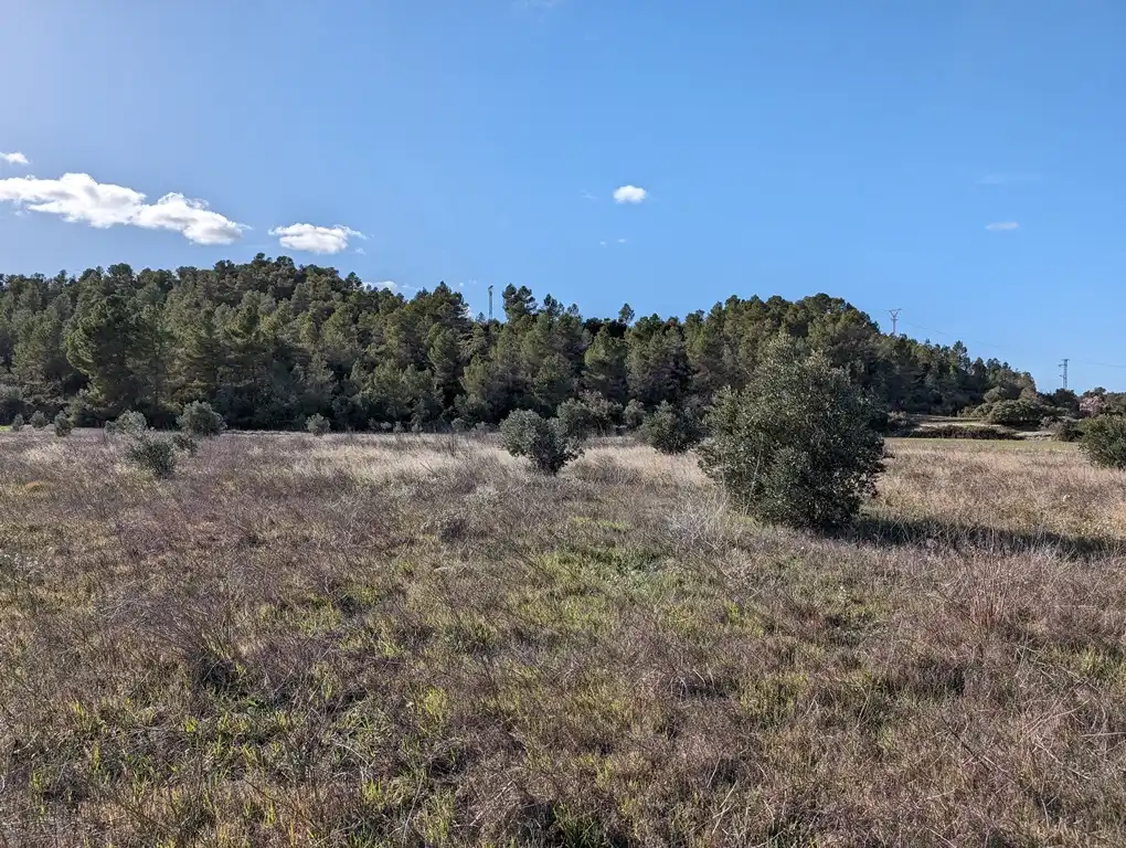 Terreni e lotti in vendita a Arens de Lledó, imagen 6