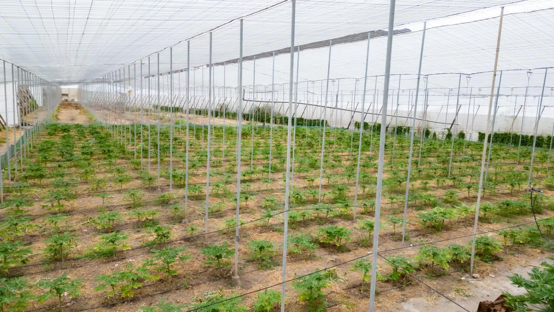 Jardín de Terreno en venta en San Cristóbal de la Laguna