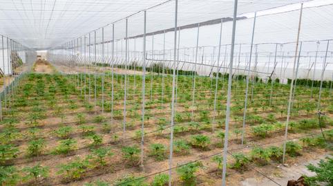 Photo 4 of Land for sale in Carretera 110e, 110e, Punta del Hidalgo, San Cristóbal de la Laguna