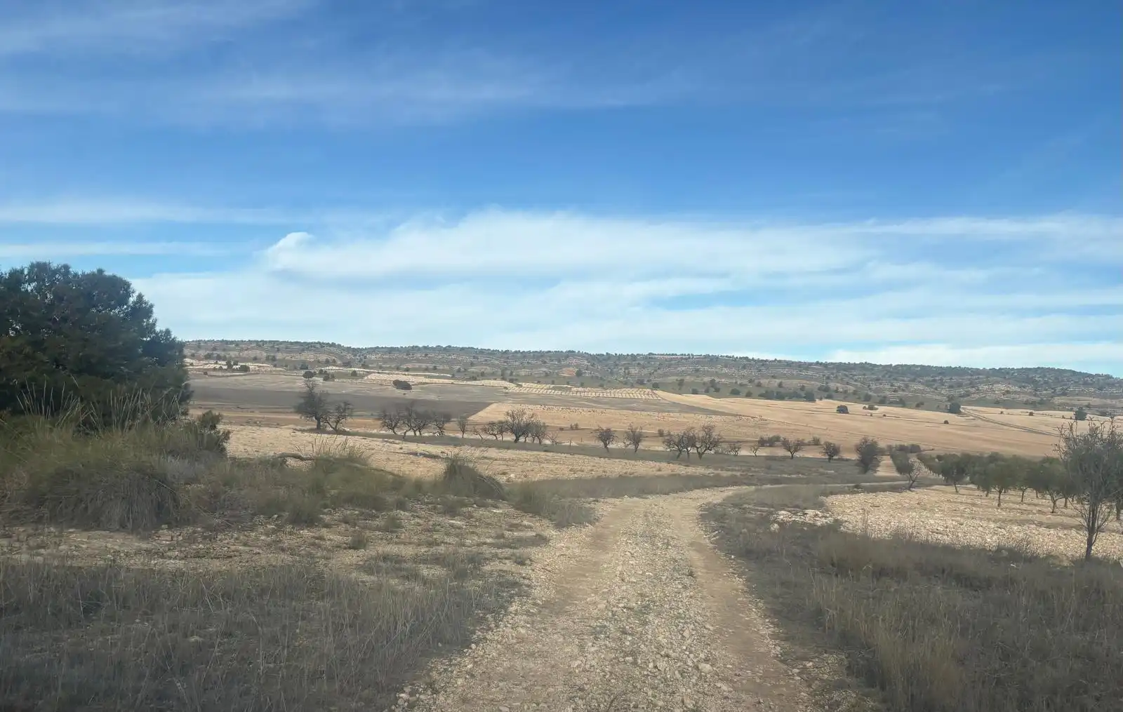 Finca rústica en venta en Ontur
