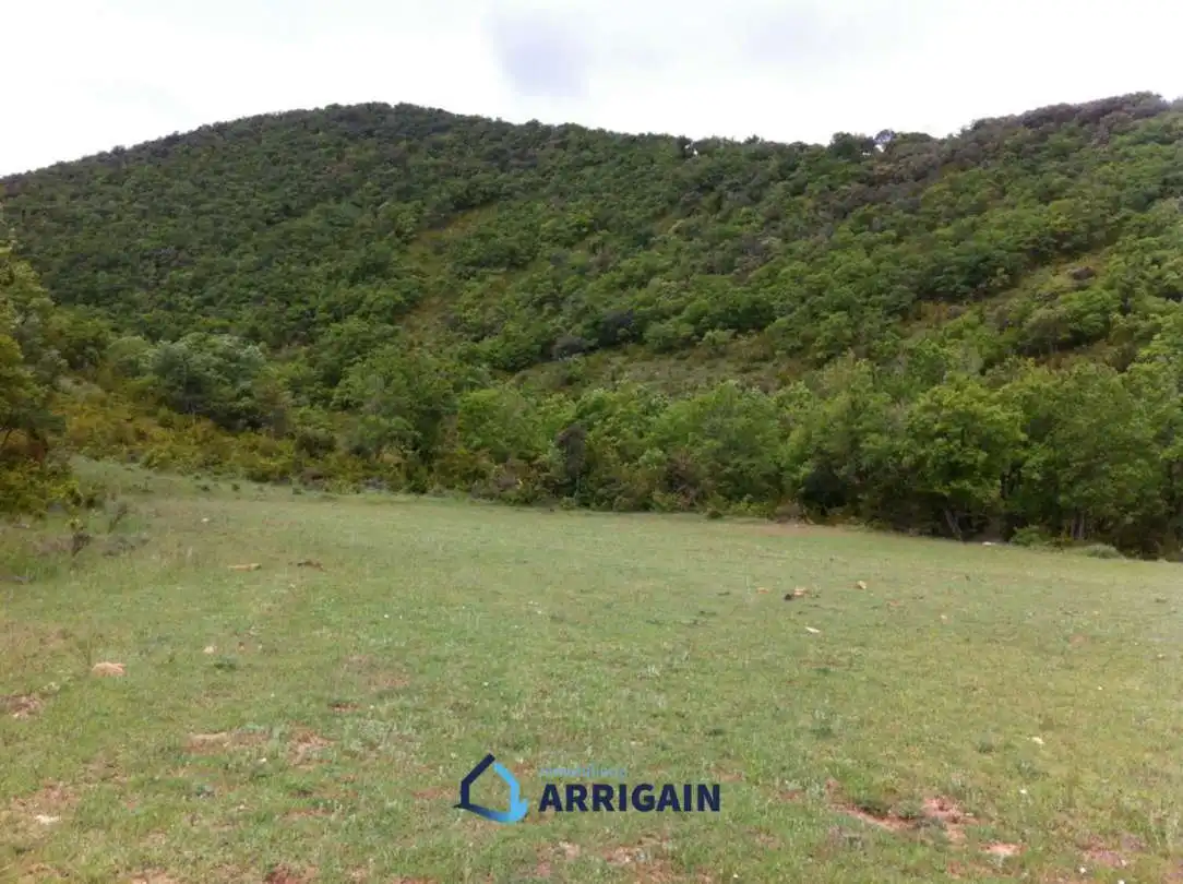 Casa o chalet en venta en La Moraleja con Jardín privado
