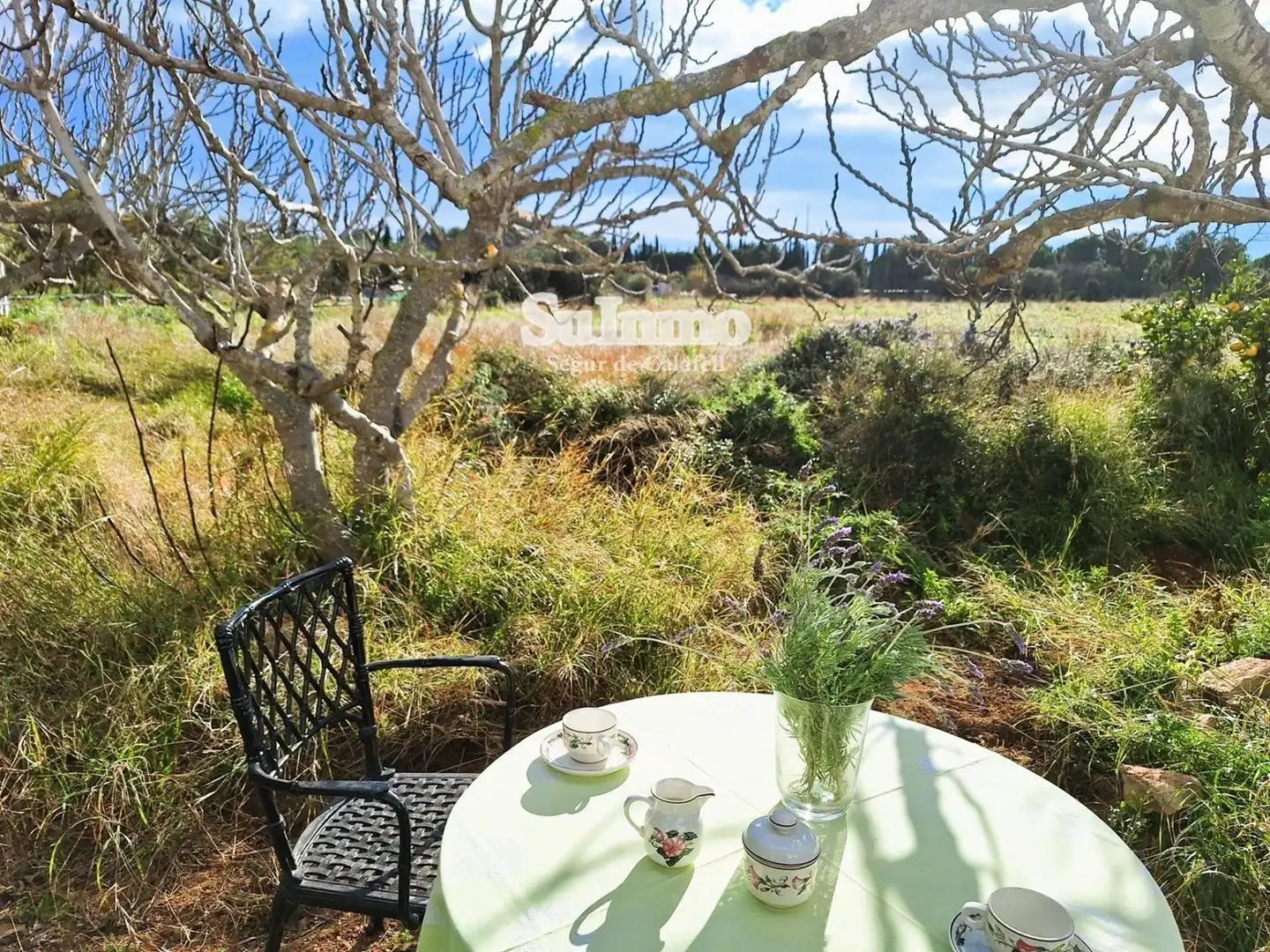 Villa à vendre à Polígono 5, imagen 3