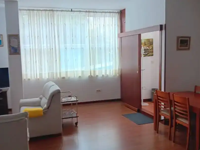 Sala d'estar de Apartament de lloguer en A Coruña Capital  amb Moblat