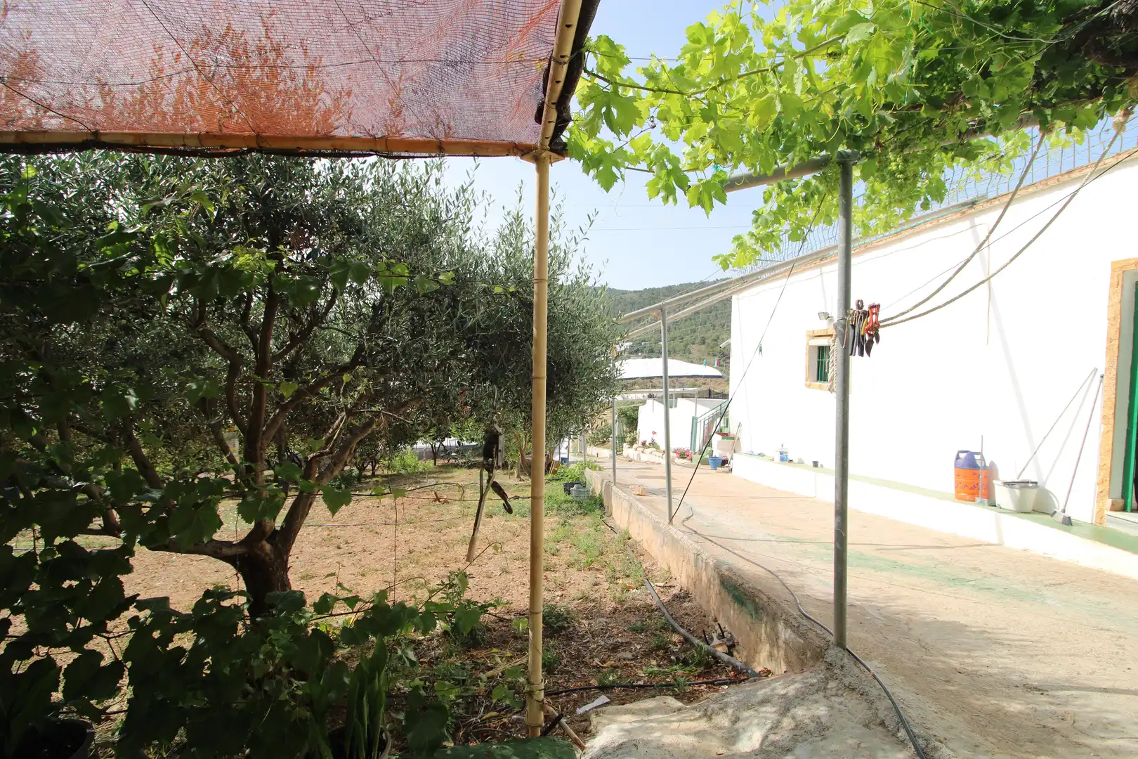 Jardí de Finca rústica en venda en Dalías