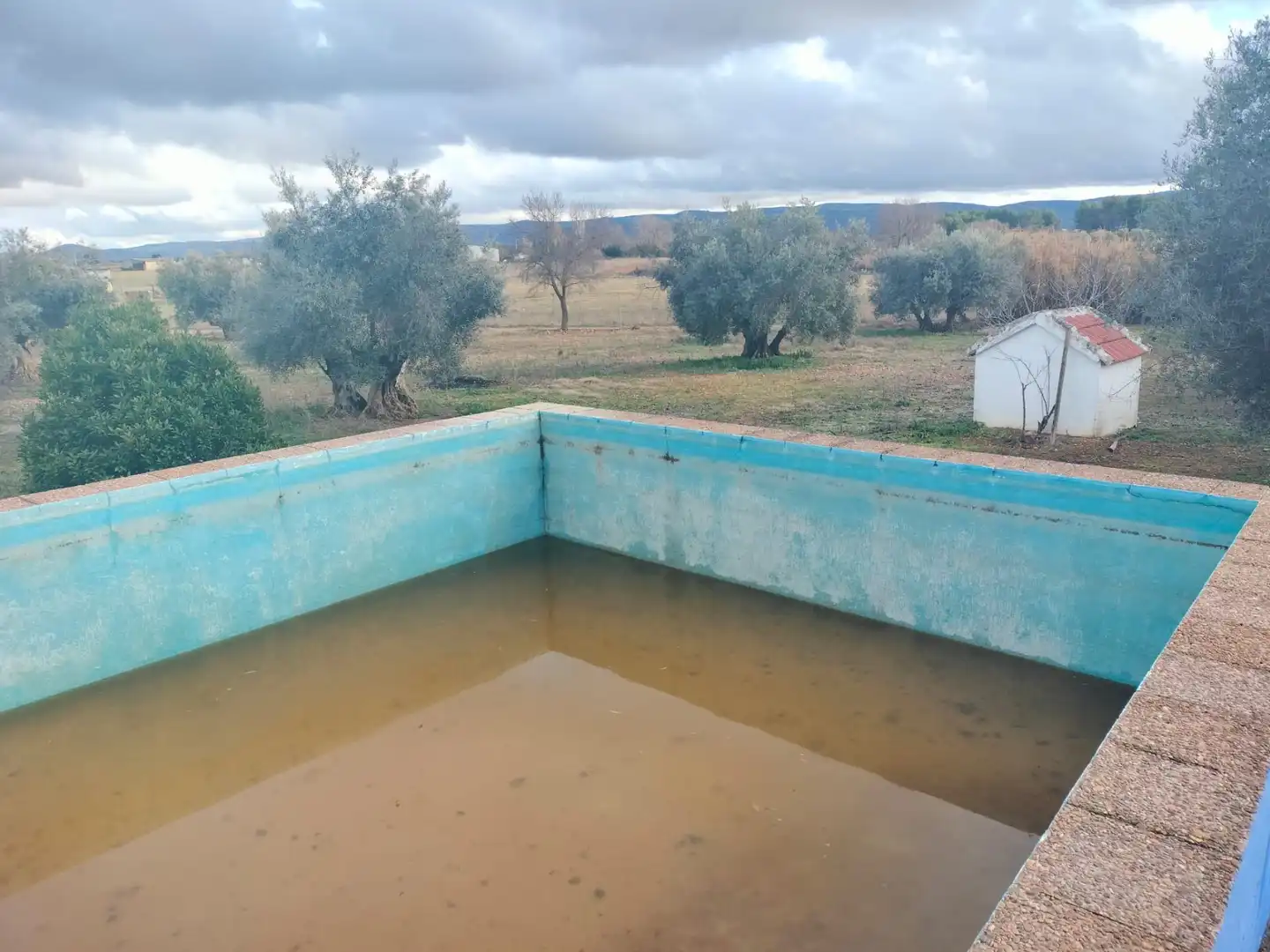 Finca rústica en venta en Argamasilla de Calatrava
