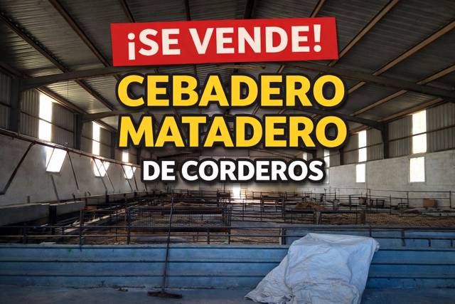 Nave industrial en Venta en N/A en Santa Cruz de la Zarza