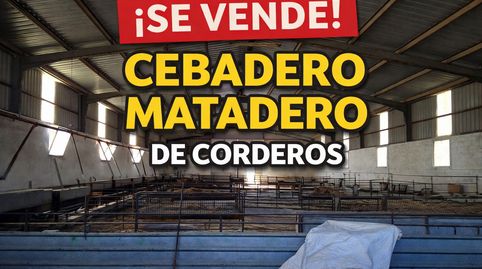 Foto 3 von Fabrikhallen zum Verkauf in Santa Cruz de la Zarza, Toledo