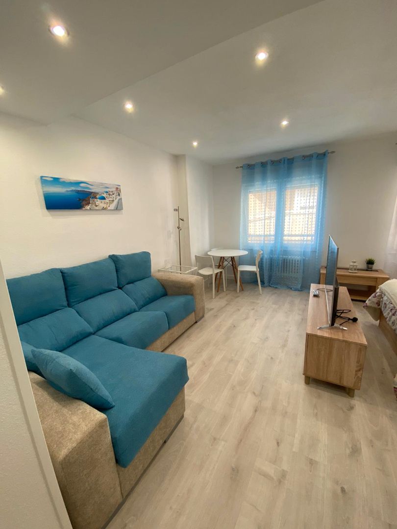 Living room of Study to rent in Salamanca Capital  with Furnished