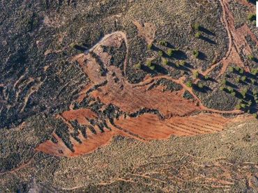 Rural land for sale in Alcolea