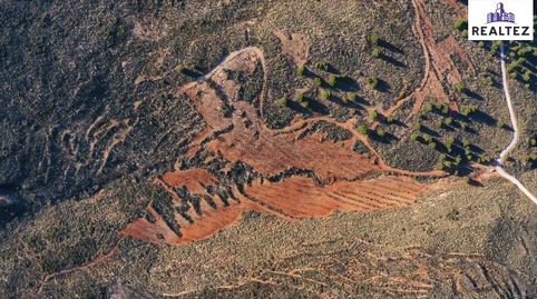 TERRENO EN VENTA EN ALCOLEA CON ALMENDROS ECOLÓGICOS EN PLENA PRODUCCIÓN