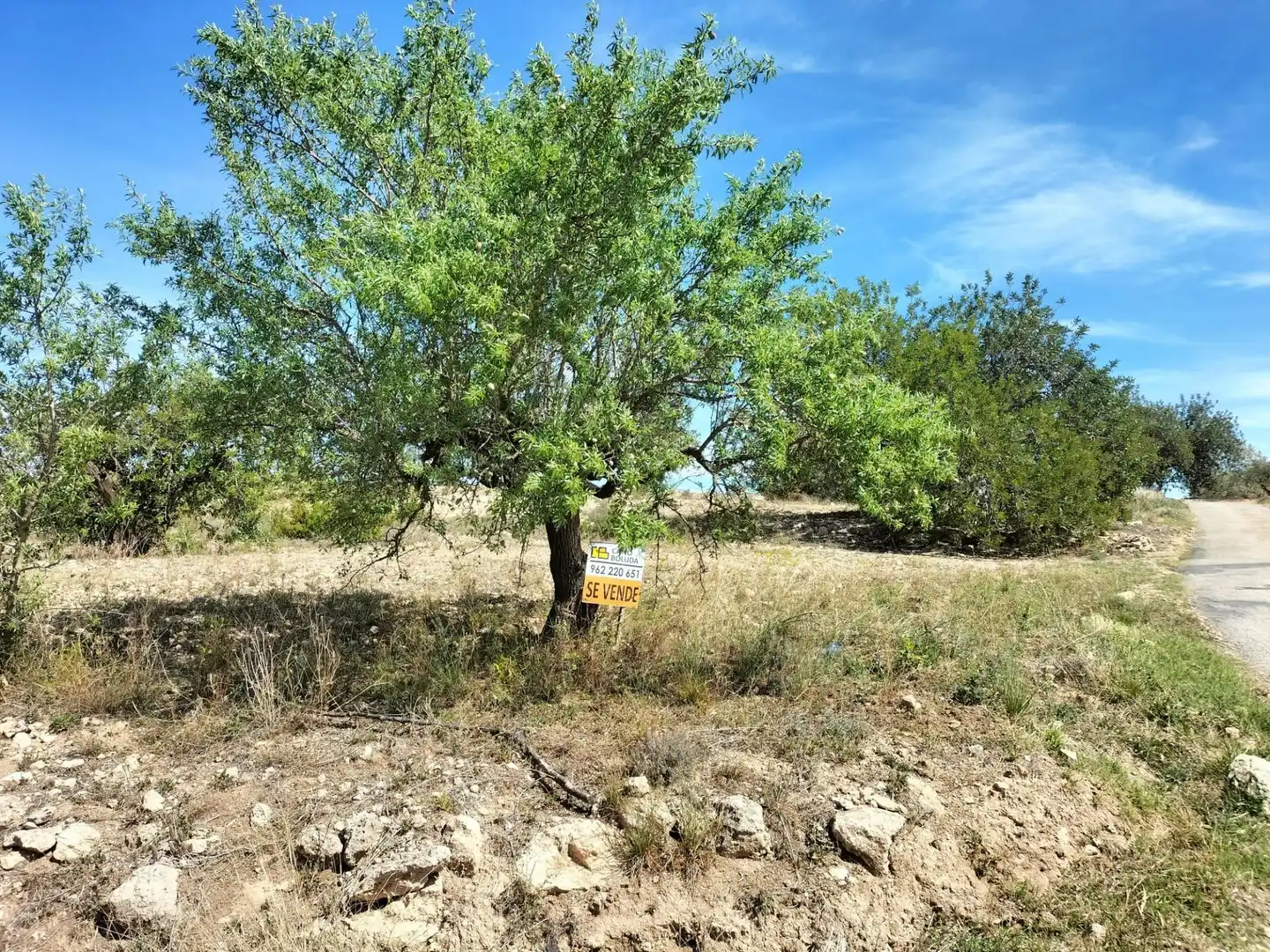 Terreno rustico in vendita a Polígono 10 Parcela 488 LA LOMA. NAVARRES (VALENC, imagen 12