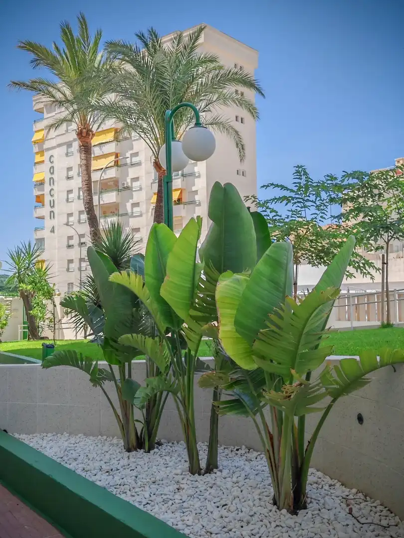 Apartment with terrace for sale in DEVESA 44, imagen 31
