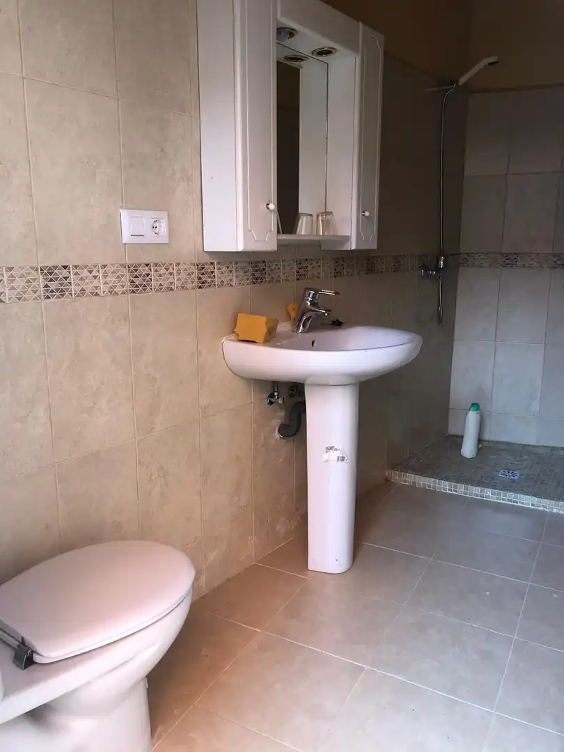 Baño de Casa o chalet en venta en Benavente