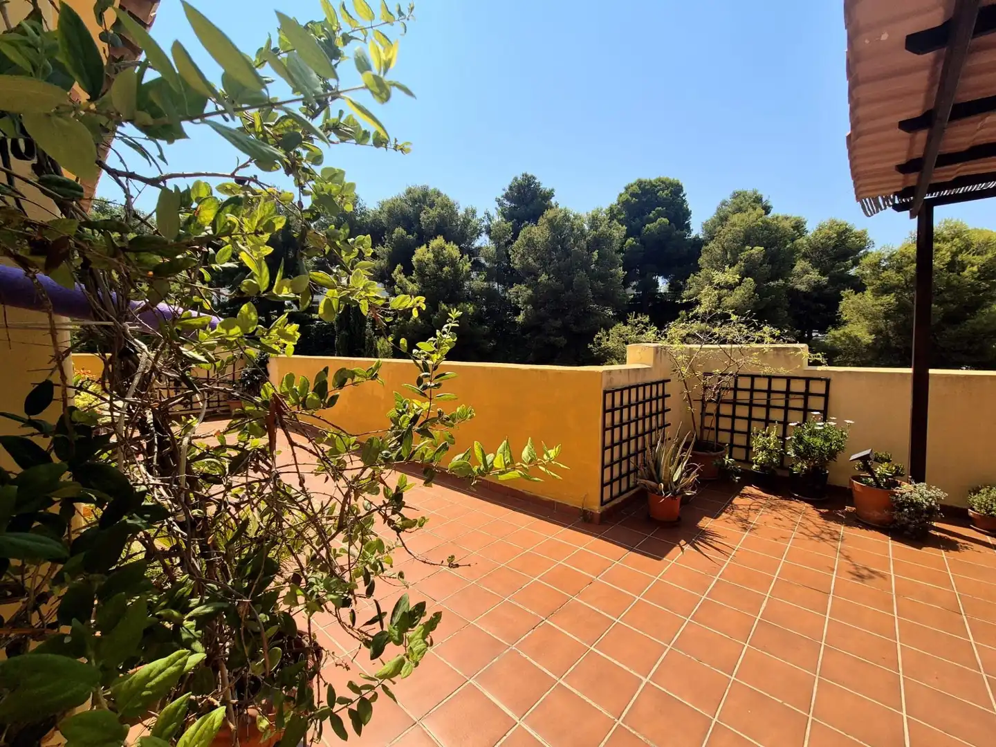 Terrasse von Dachboden zum Verkauf in Mijas mit Privatgarten, Terrasse und Gemeinschaftspool