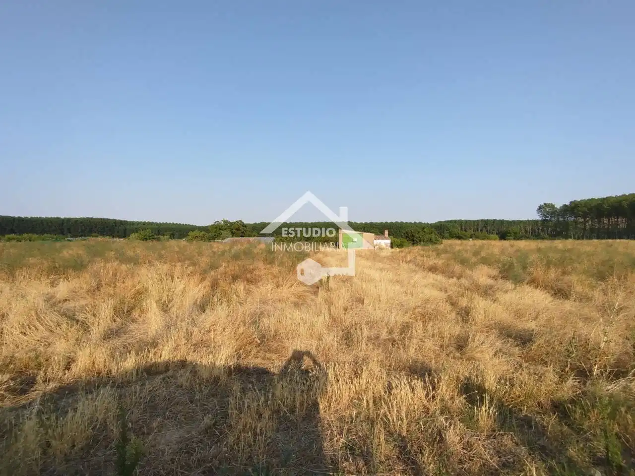 Rural land for sale in Viana, imagen 19
