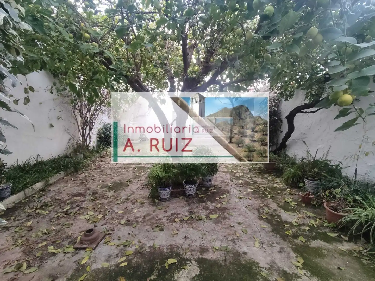 House with garden for sale in Priego de Córdoba, imagen 13