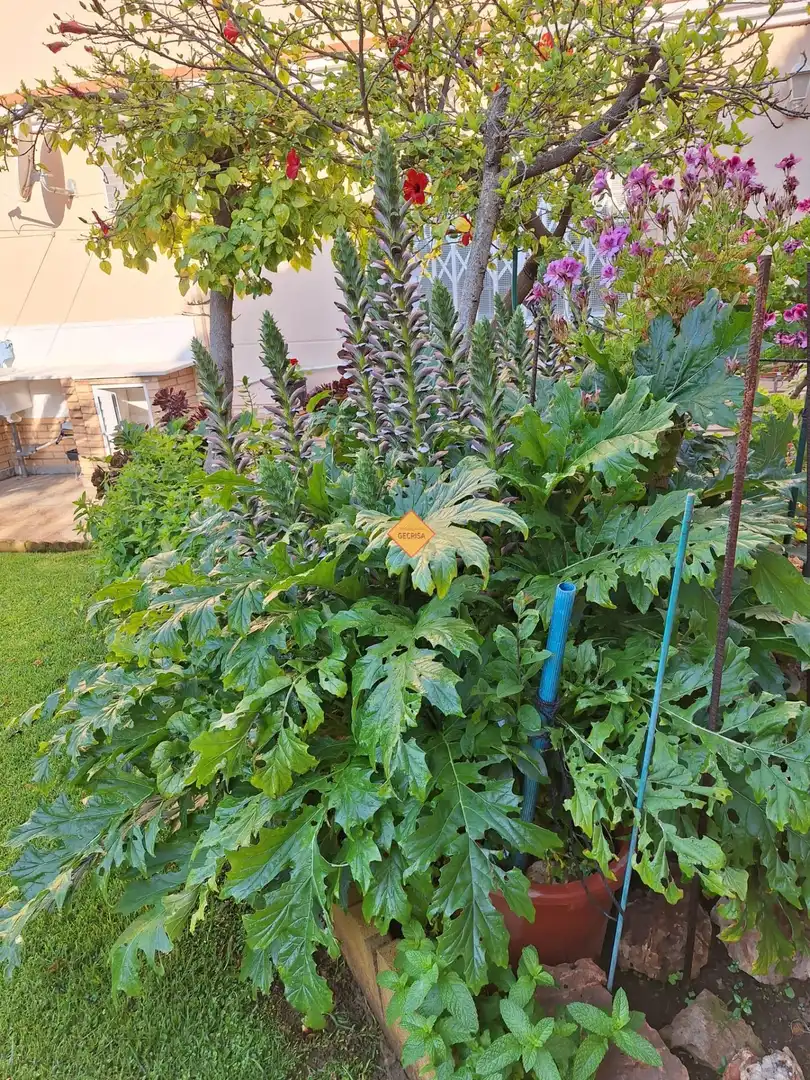 Jardí de Casa o xalet en venda en Paterna amb Aire condicionat, Calefacció i Jardí privat