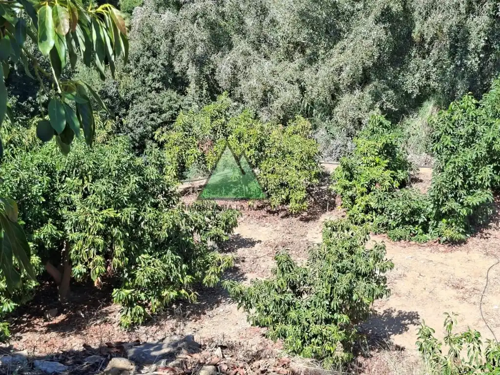 Country house for sale in Alcaucín, imagen 16