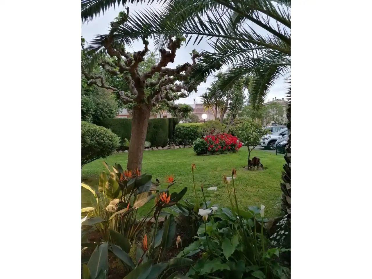 Jardí de Pis en venda en Sant Feliu de Guíxols amb Terrassa